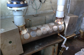 安心安全で美味しいカキへのこだわり