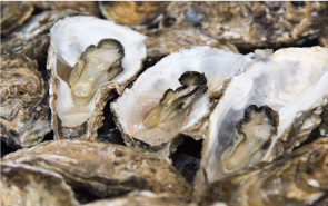 与吉屋の焼きカキ食べ放題